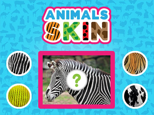 Animals Skin Image